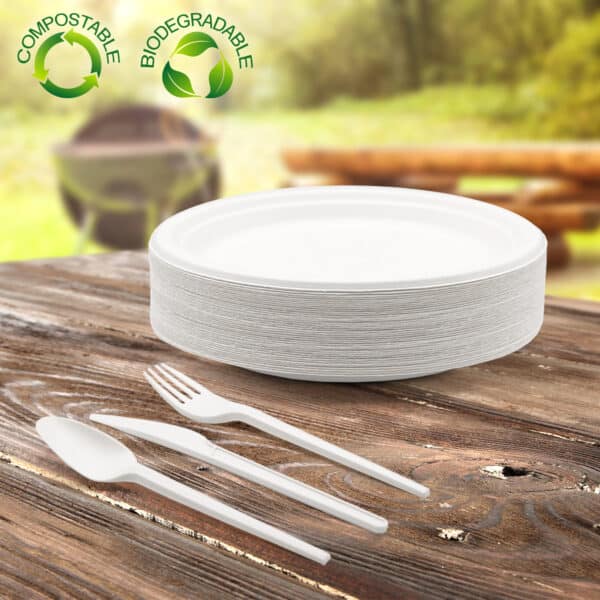 compostable dinnerware